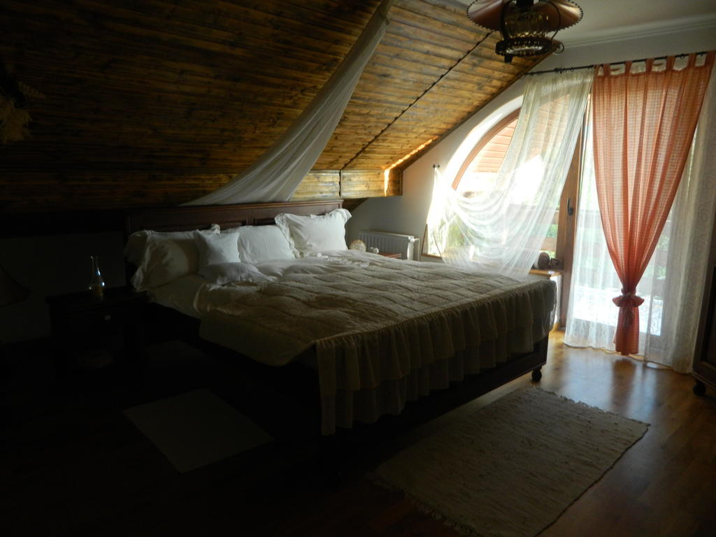 Pensiunea Romantic Sadu Luaran gambar